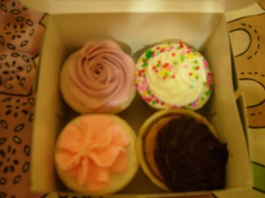 Look at the cute mini cupcakes!!